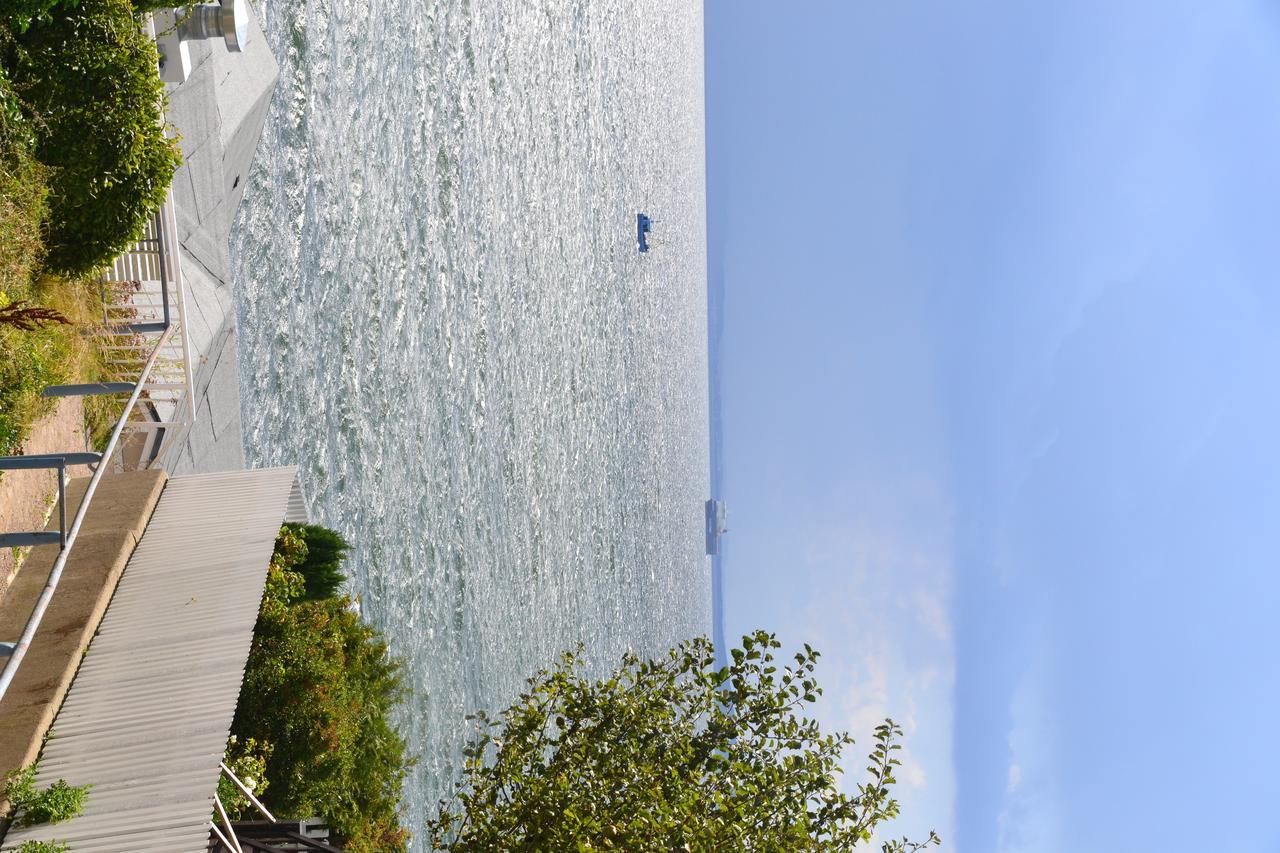 Meerforelle 207 - Villa Seeblick Sassnitz Exterior photo