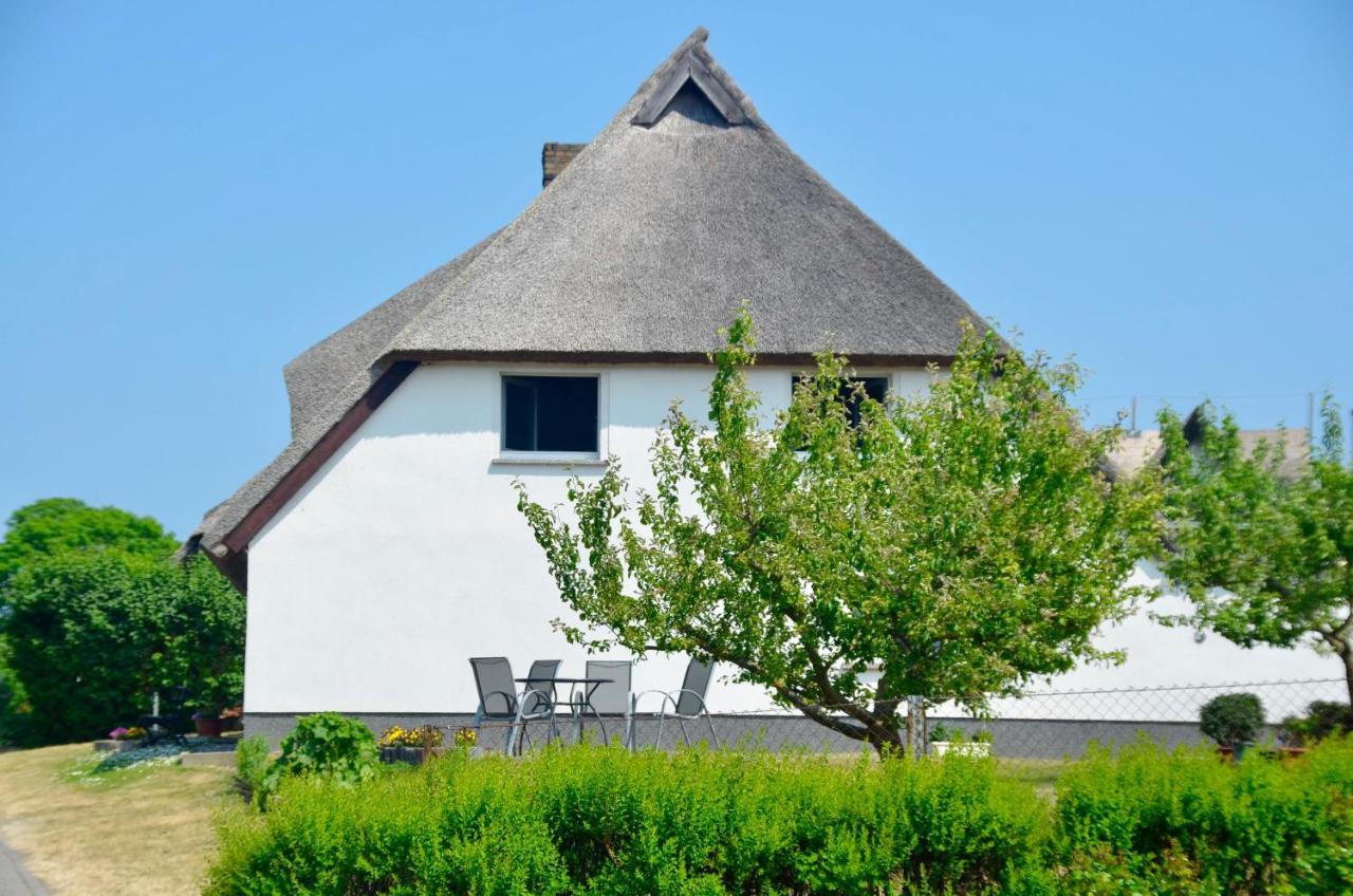 Meerforelle 207 - Villa Seeblick Sassnitz Exterior photo
